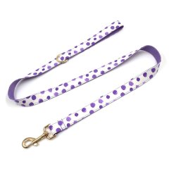 Pet Leash Custom Pattern Multipurpose Webbing Soft Adjustable Accessories Hands Free Dog Leash Fashion Printing Pattern Durable Dog Leash