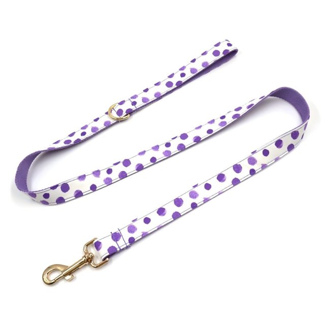 Pet Leash Custom Pattern Multipurpose Webbing Soft Adjustable Accessories Hands Free Dog Leash Fashion Printing Pattern Durable Dog Leash