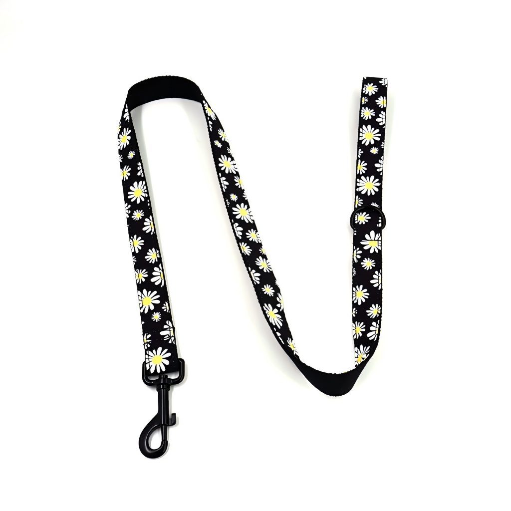 Pet Leash Custom Pattern Multipurpose Webbing Soft Adjustable Accessories Hands Free Dog Leash Fashion Printing Pattern Durable Dog Leash