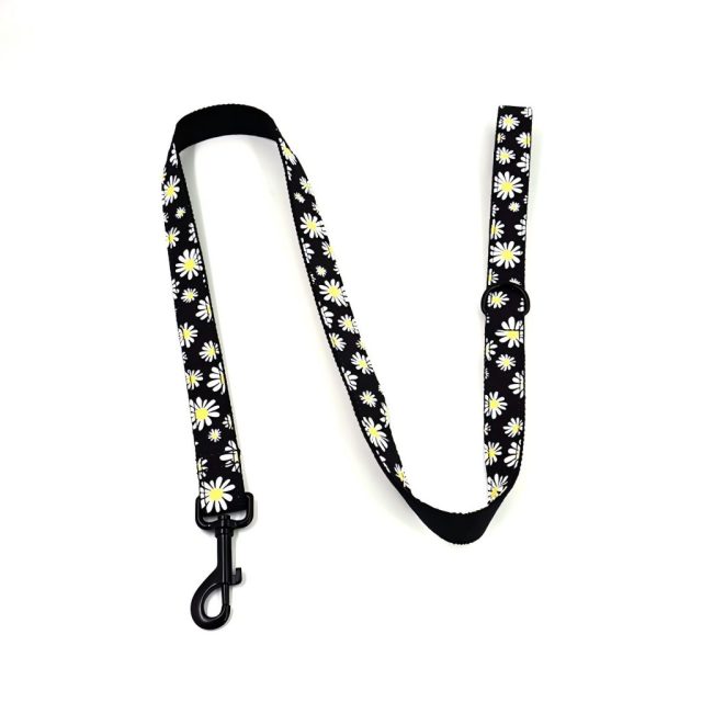 Pet Leash Custom Pattern Multipurpose Webbing Soft Adjustable Accessories Hands Free Dog Leash Fashion Printing Pattern Durable Dog Leash