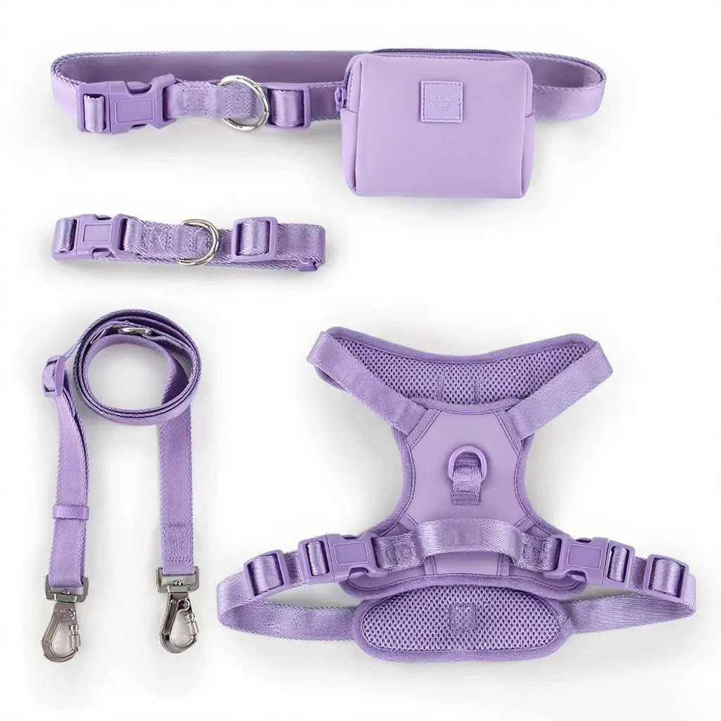 Adjustable fashion simple dog harness set