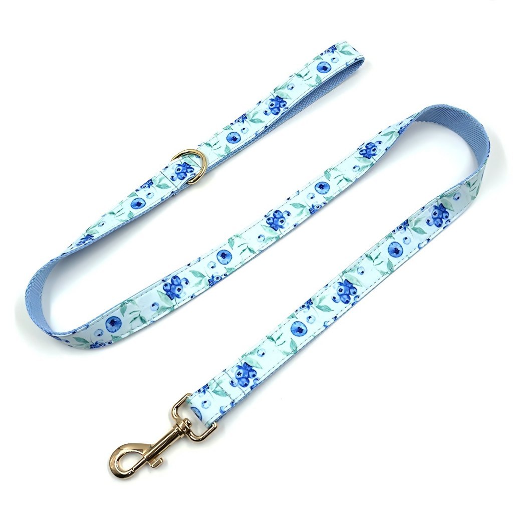 Pet Leash Custom Pattern Multipurpose Webbing Soft Adjustable Accessories Hands Free Dog Leash Fashion Printing Pattern Durable Dog Leash