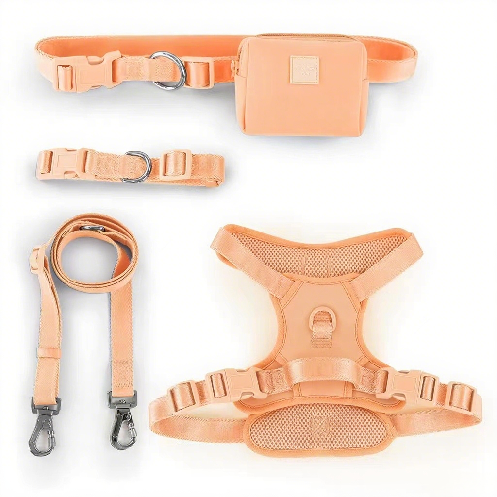 Durable Custom Stylish No Pull Pet Harness Soft Polyester and Mesh adjustable Dog Harness Leash Collar Bag Set
