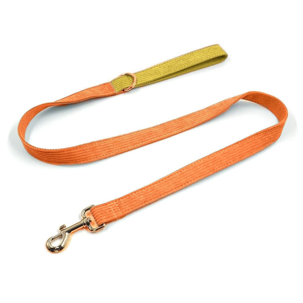 Fashion Color Block Durable Dog Leash Dual Handle No pull Pet Leash Multiple Color for customized