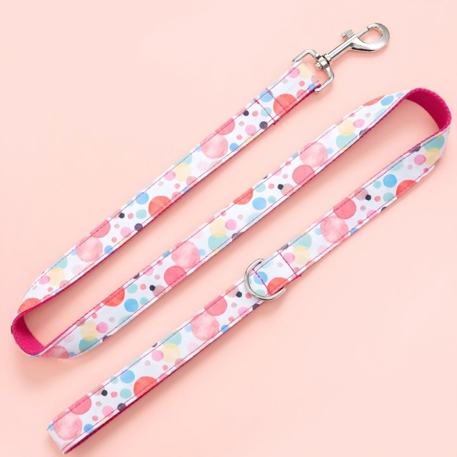 Pet Leash Custom Pattern Multipurpose Webbing Soft Adjustable Accessories Hands Free Dog Leash Fashion Printing Pattern Durable Dog Leash