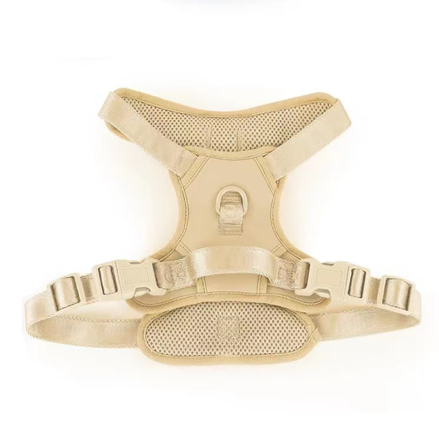 Custom Stylish No Pull Pet Harness Soft Adjustable and Durable Polyester Mesh Dog Harness for Daily Walking