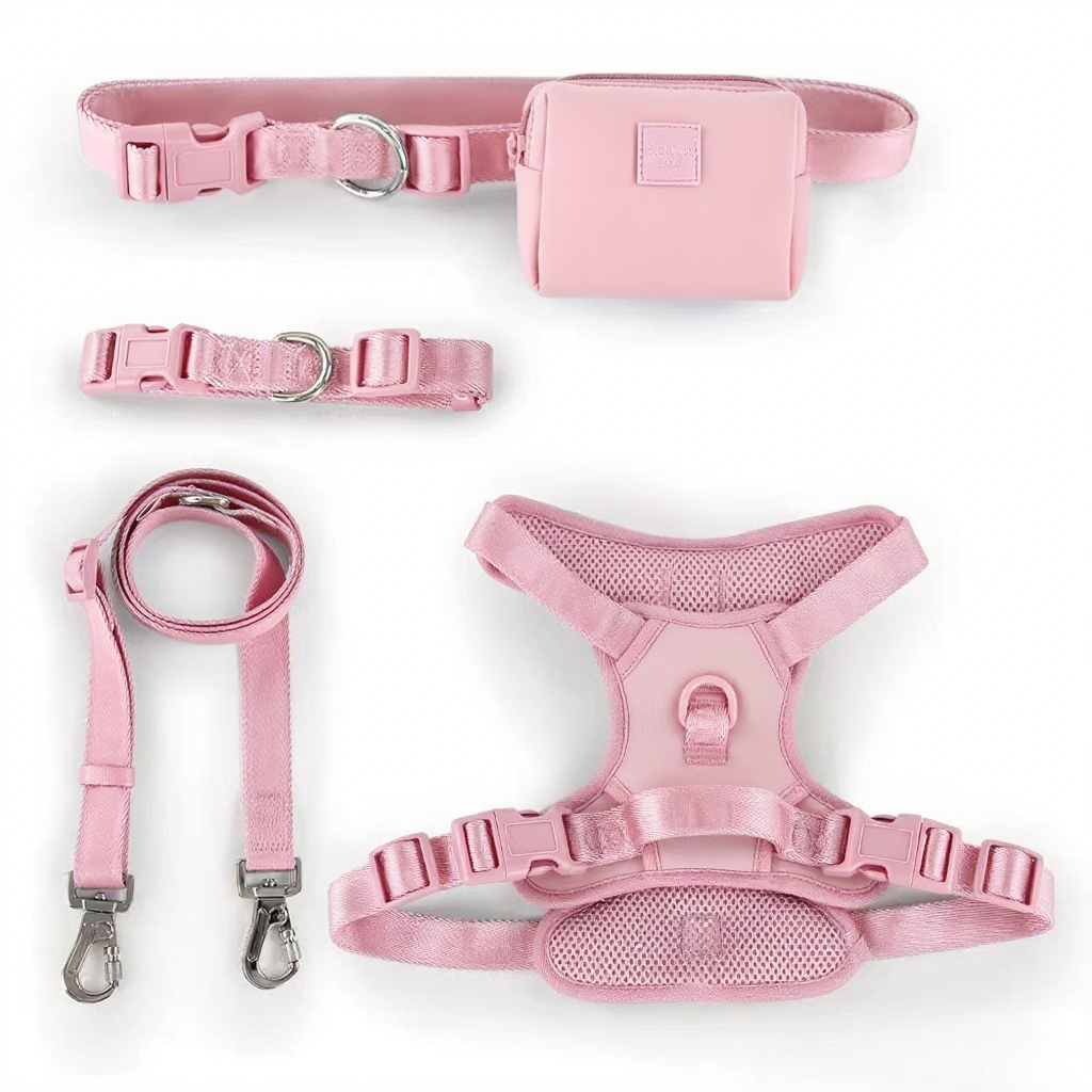 Durable Custom Stylish No Pull Pet Harness Soft Polyester and Mesh adjustable Dog Harness Leash Collar Bag Set