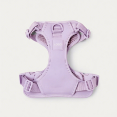 Durable Custom Stylish No Pull Pet Harness Soft Adjustable and Polyester Mesh Dog Harness for Daily Walking