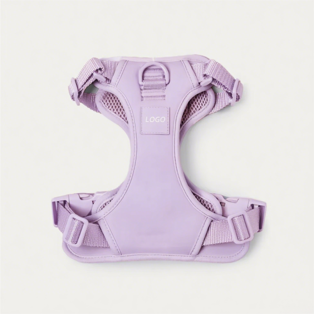 Durable Custom Stylish No Pull Pet Harness Soft Adjustable and Polyester Mesh Dog Harness for Daily Walking