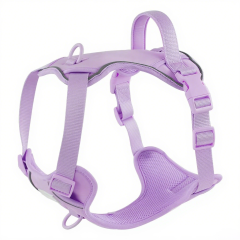 Durable Custom Stylish No Pull Pet Harness Soft Adjustable and Polyester Mesh Dog Harness for Daily Walking