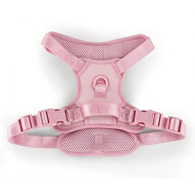 Durable Custom Stylish No Pull Pet Harness Soft Adjustable and Polyester Mesh Dog Harness for Daily Walking