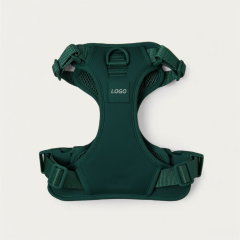 Durable Custom Stylish No Pull Pet Harness Soft Adjustable and Polyester Mesh Dog Harness for Daily Walking