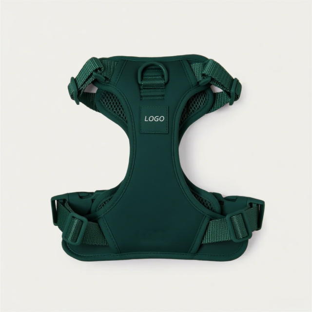 Durable Custom Stylish No Pull Pet Harness Soft Adjustable and Polyester Mesh Dog Harness for Daily Walking