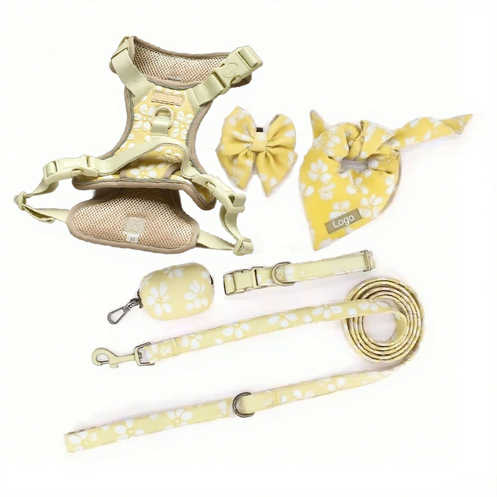 Personalize Embroidery Pet Collar and Leash Luxury Training Adjustable Best Dog Harness Set