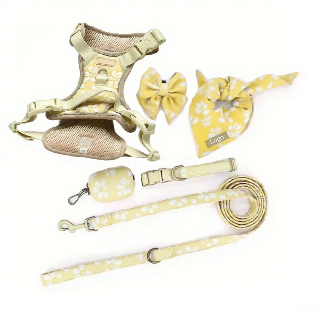 Personalize Embroidery Pet Collar and Leash Luxury Training Adjustable Best Dog Harness Set