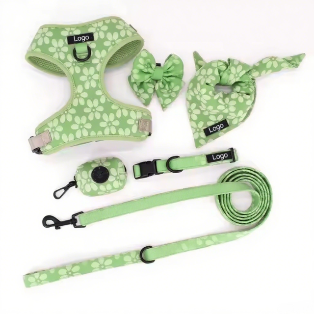 Professional Supplier Special Embroidery Collar and Leash Luxury Training Adjustable Dog Harness Set