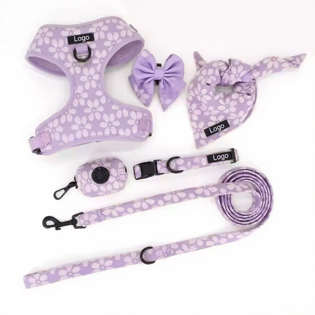 Professional Supplier Special Embroidery Collar and Leash Luxury Training Adjustable Dog Harness Set