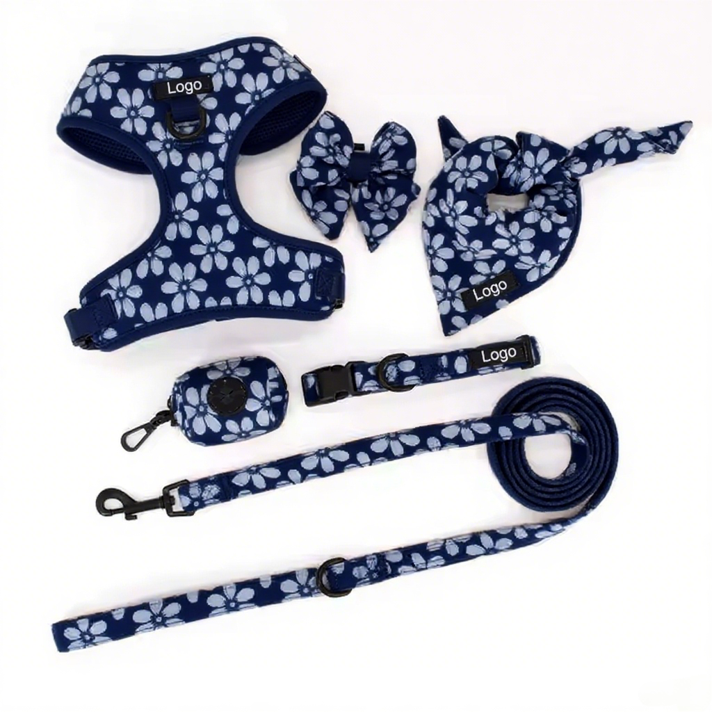 Professional Supplier Special Embroidery Collar and Leash Luxury Training Adjustable Dog Harness Set