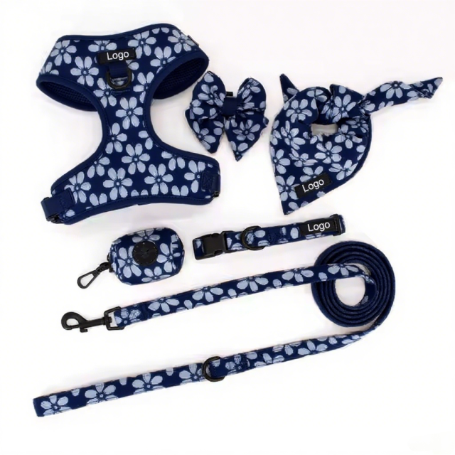 Professional Supplier Special Embroidery Collar and Leash Luxury Training Adjustable Dog Harness Set