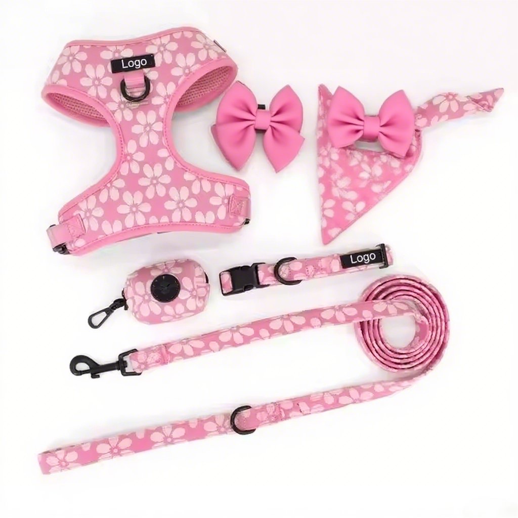 Professional Supplier Special Embroidery Collar and Leash Luxury Training Adjustable Dog Harness Set