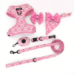 Professional Supplier Special Embroidery Collar and Leash Luxury Training Adjustable Dog Harness Set
