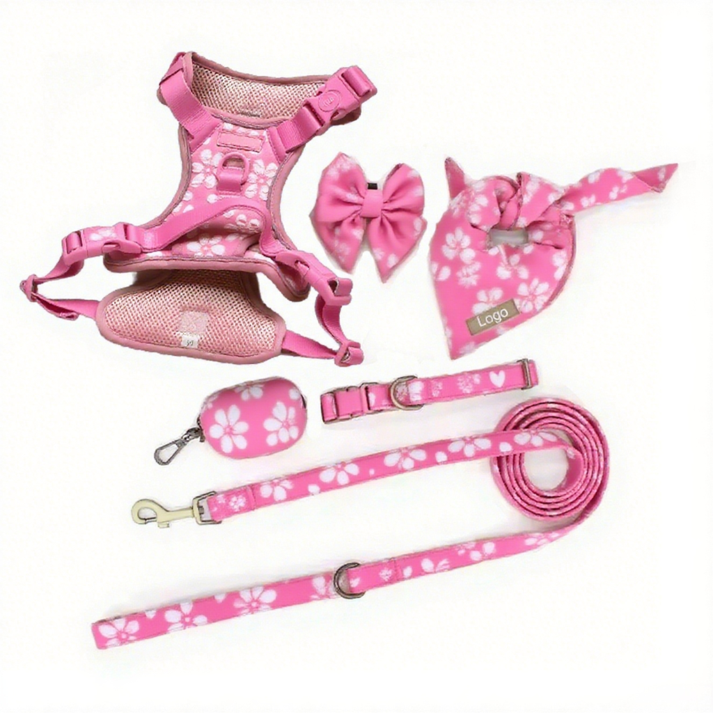 Personalize Embroidery Pet Collar and Leash Luxury Training Adjustable Best Dog Harness Set
