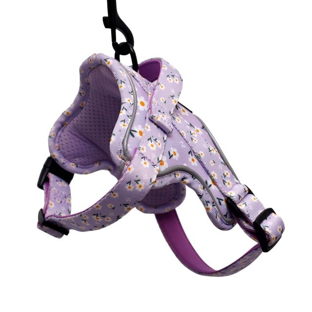 Fashion Pattern Printing No Pull Adjustable Vest Dog Soft Luxury Harness Environmental High Quality Breathable Dog Harness