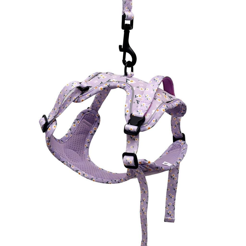 Fashion Pattern Printing No Pull Adjustable Vest Dog Soft Luxury Harness Environmental High Quality Breathable Dog Harness