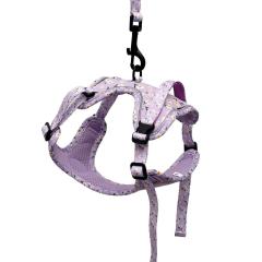 Fashion Pattern Printing No Pull Adjustable Vest Dog Soft Luxury Harness Environmental High Quality Breathable Dog Harness