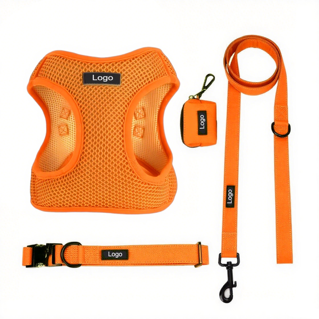 Manufacturer Designer Puppy Harness Set Fashion Breathable Mesh Reflective Personalized for Small and Medium Dog