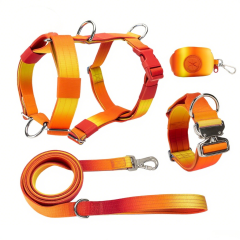 Manufacturers Gradient Color Custom Neoprene Pet Harness Luxury Adjustable H Strap No Pull Reversible Dog Harness Kit
