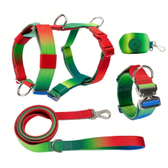 Manufacturers Gradient Color Custom Neoprene Pet Harness Luxury Adjustable H Strap No Pull Reversible Dog Harness Kit