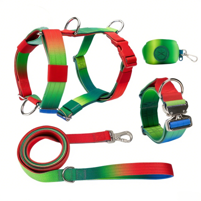 Manufacturers Gradient Color Custom Neoprene Pet Harness Luxury Adjustable H Strap No Pull Reversible Dog Harness Kit