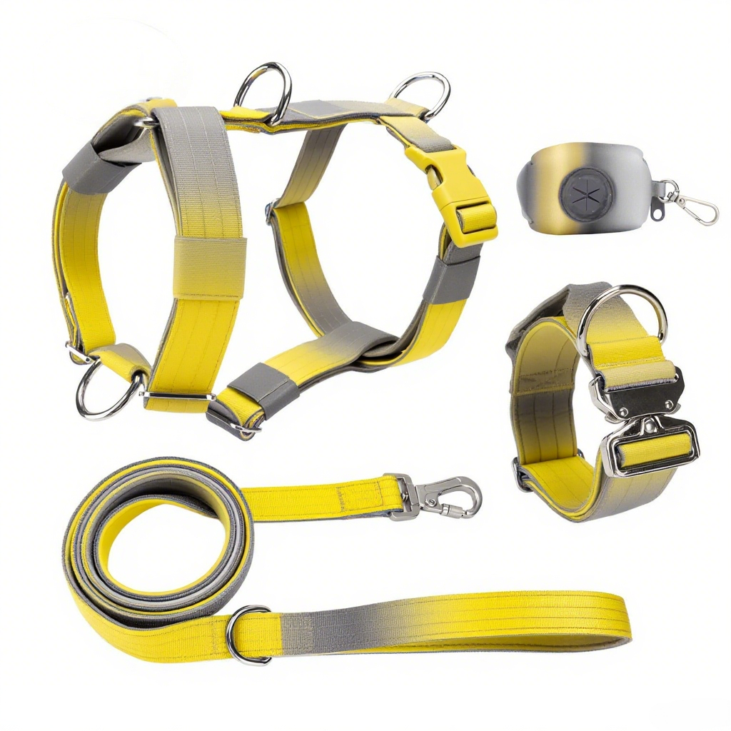 Manufacturers Gradient Color Custom Neoprene Pet Harness Luxury Adjustable H Strap No Pull Reversible Dog Harness Kit