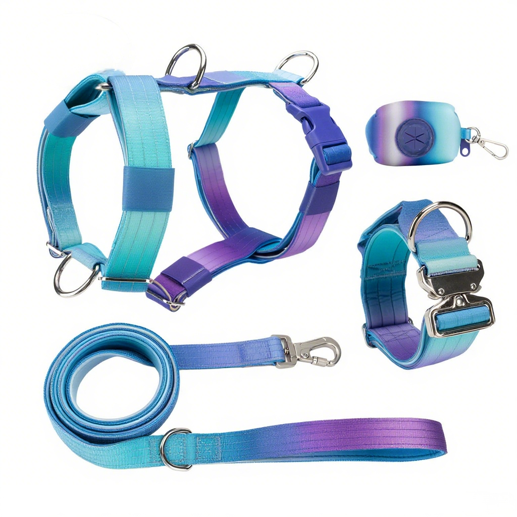 Manufacturers Gradient Color Custom Neoprene Pet Harness Luxury Adjustable H Strap No Pull Reversible Dog Harness Kit