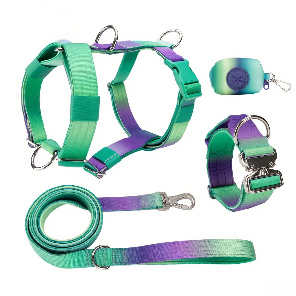 Manufacturers Gradient Color Custom Neoprene Pet Harness Luxury Adjustable H Strap No Pull Reversible Dog Harness Kit