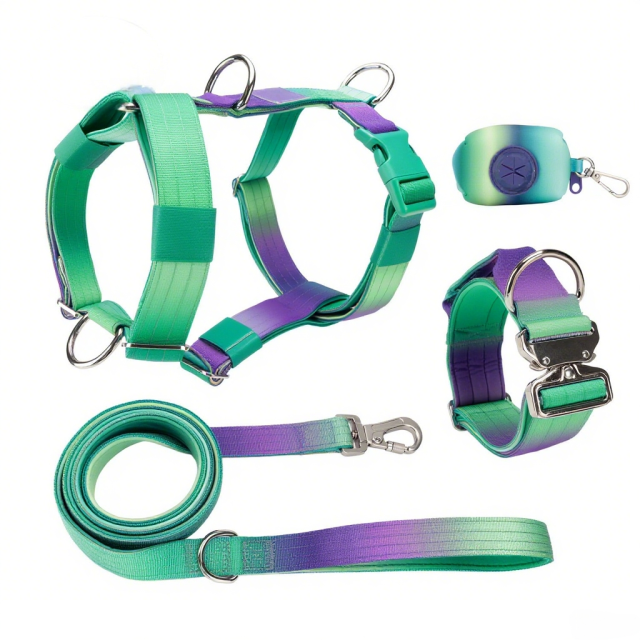Manufacturers Gradient Color Custom Neoprene Pet Harness Luxury Adjustable H Strap No Pull Reversible Dog Harness Kit