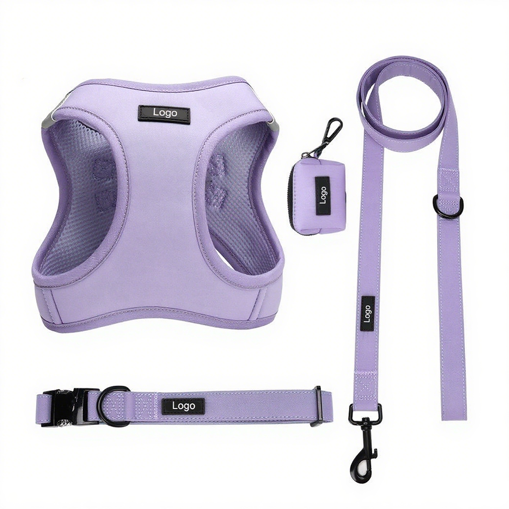 Outdoor Padded Puppy Harness set OEM/ODM Support custom small dog harness leash collar kit