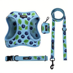 OEM Custom Designers Pet Dog Harness Leash and Collar Set No Pull Personalized Dogs Accessories Vest Soft Dog Harness Set
