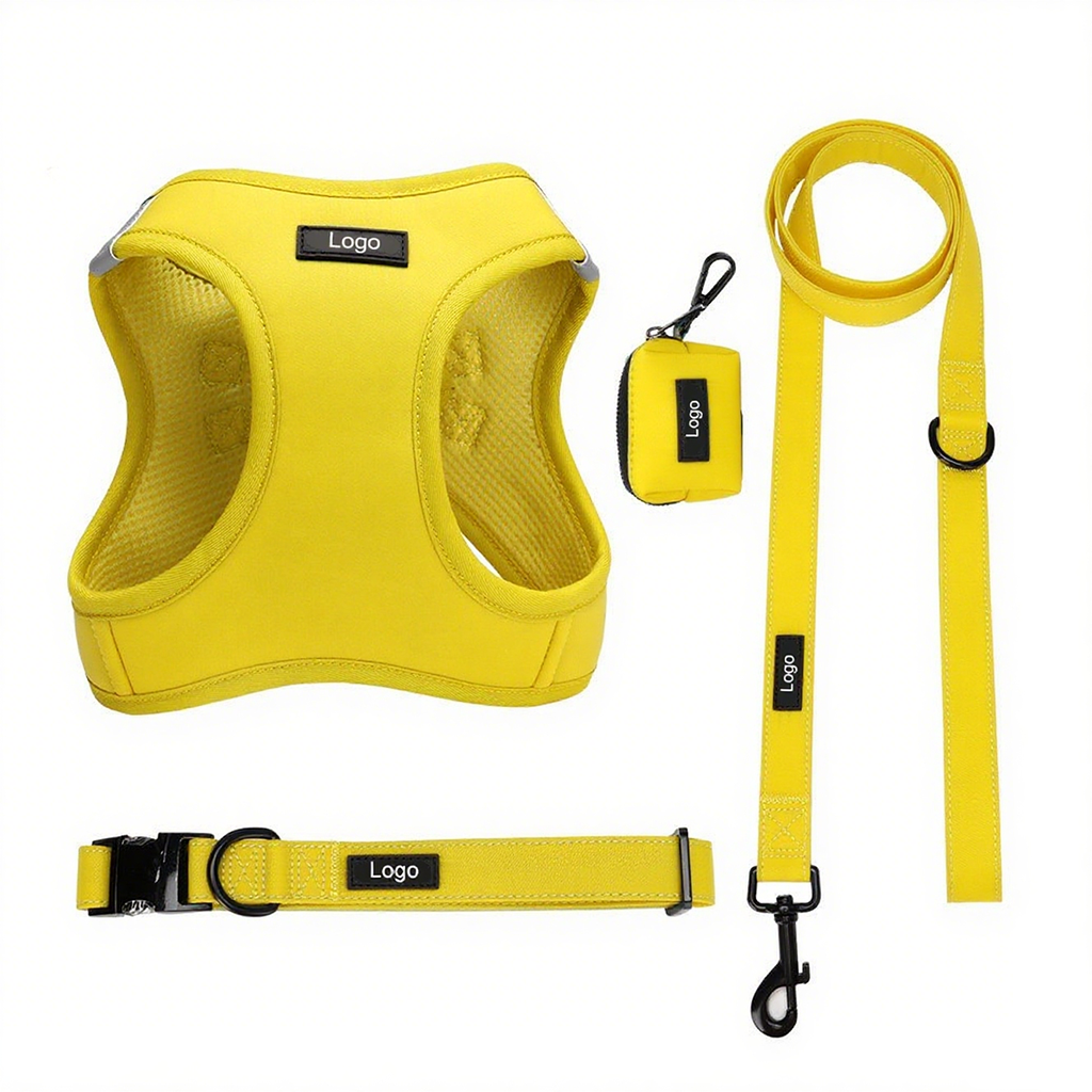 Outdoor Padded Puppy Harness set OEM/ODM Support custom small dog harness leash collar kit