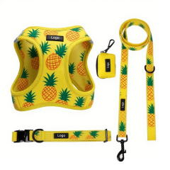 OEM Custom Designers Pet Dog Harness Leash and Collar Set No Pull Personalized Dogs Accessories Vest Soft Dog Harness Set