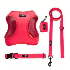 Outdoor Padded Puppy Harness set OEM/ODM Support custom small dog harness leash collar kit