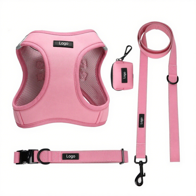 Outdoor Padded Puppy Harness set OEM/ODM Support custom small dog harness leash collar kit