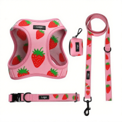 OEM Custom Designers Pet Dog Harness Leash and Collar Set No Pull Personalized Dogs Accessories Vest Soft Dog Harness Set