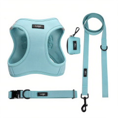 Outdoor Padded Puppy Harness set OEM/ODM Support custom small dog harness leash collar kit