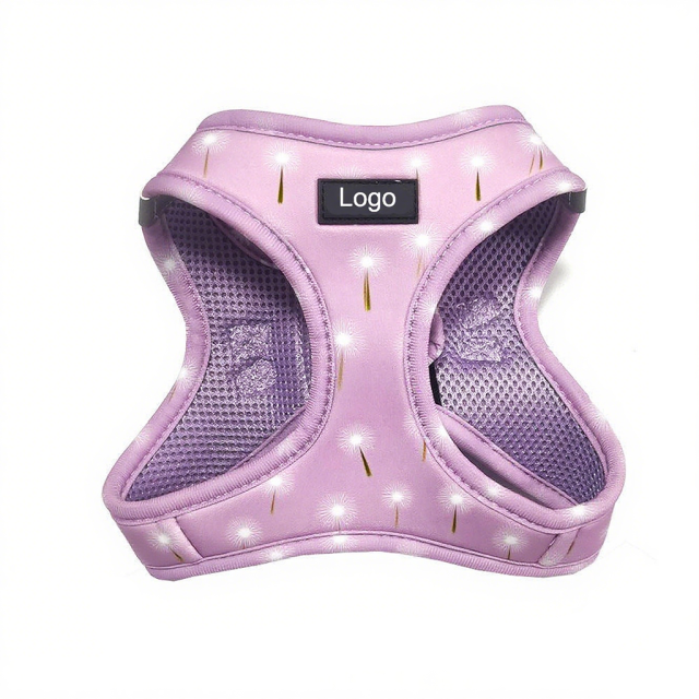 New Hot Selling Luxury and Durable Wholesale Custom No Pull Cute Puppy Pattern Step-in Dog Harness