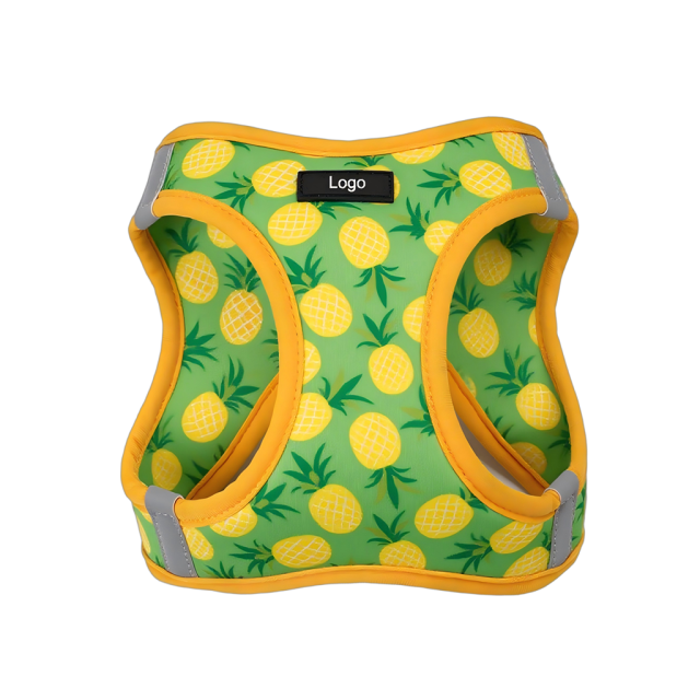 New Hot Selling Luxury and Durable Wholesale Custom No Pull Cute Puppy Pattern Step-in Dog Harness