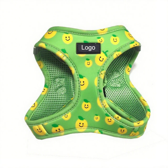 New Hot Selling Luxury and Durable Wholesale Custom No Pull Cute Puppy Pattern Step-in Dog Harness