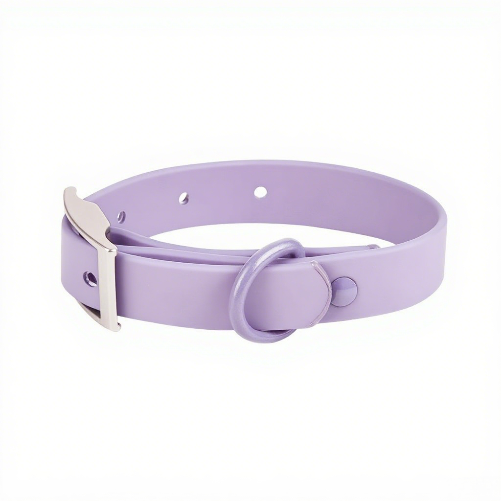 PVC Waterproof Dog Harness Soft Premium Quality Colorful Dog Collar with Metal Accessories