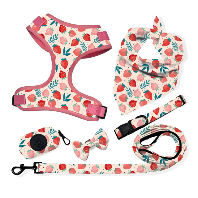 Luxury Custom Any Pattern Colorful Low MOQ Adjustable No Pull Pet Harness and Leash and Collar Set